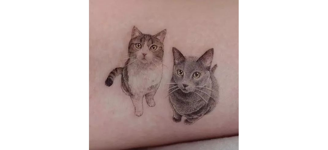 纹身 | 24张可爱宠物小猫咪纹身作品图案大合集图片