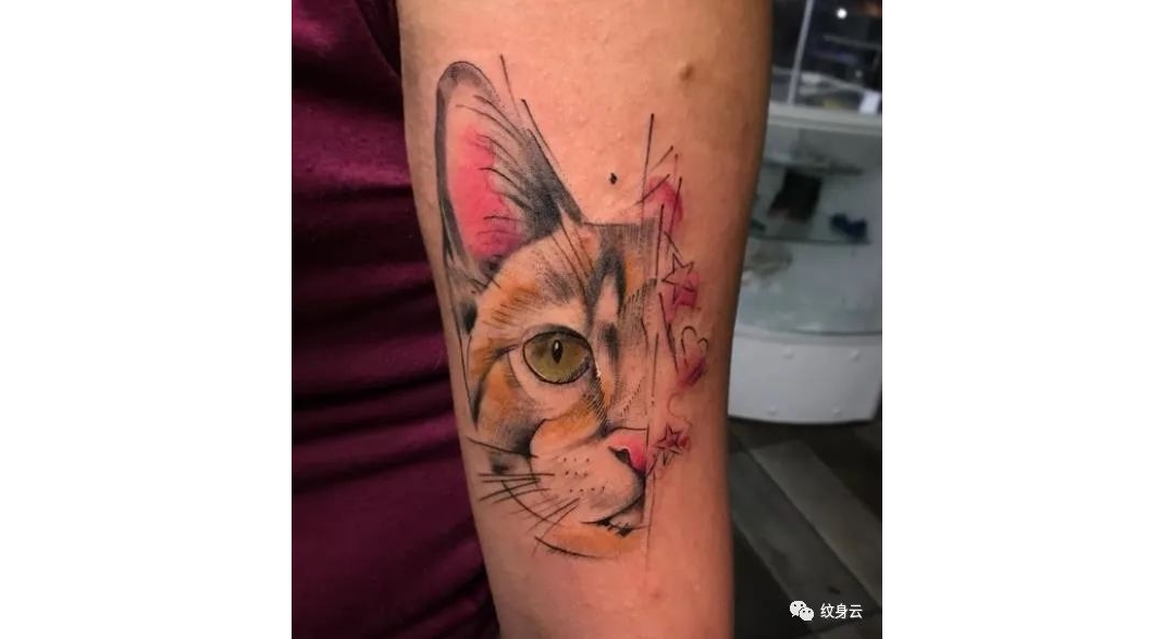 分享:19张猫咪纹身素材图片大全集