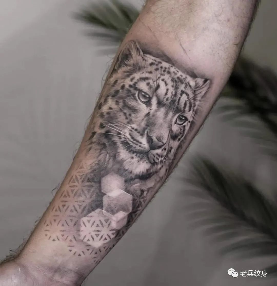 纹身素材第1264期——豹子