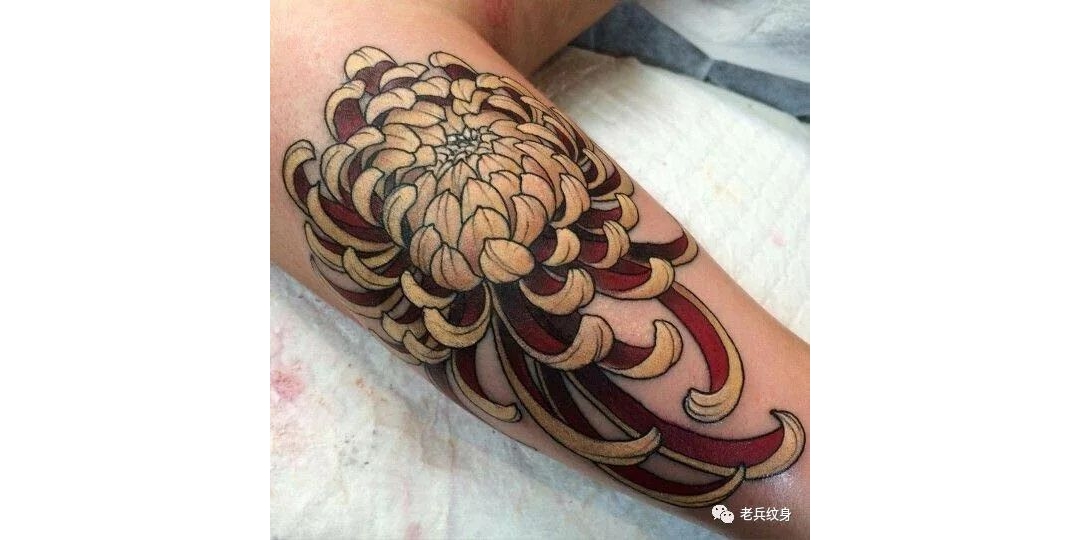 纹身素材第21期：日式菊花