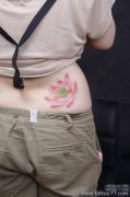 各种不同颜色莲花纹身图案的寓意