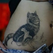 女孩子腹部一款黑白小猫咪纹身图案