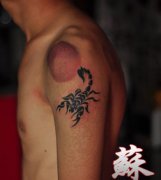 手臂帅气流行的图腾蝎子纹身图案