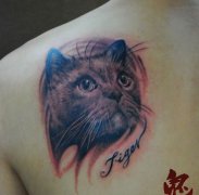 肩背一款猫咪纹身图案