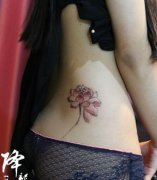 美女腰部好看的水墨画莲花纹身图案
