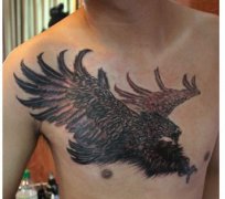 前胸一款霸气的老鹰纹身图案