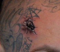 另类写实的一款头部苍蝇纹身图案