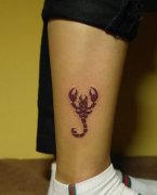 腿部一款彩色图腾蝎子纹身图案