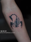 经典流行的手臂图腾蝎子纹身图案