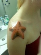 女孩子肩膀处一款小海星纹身图案