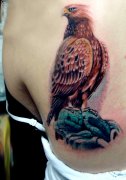 美女背部一款彩色老鹰纹身图案