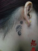 女生耳部简单的邹菊纹身图案