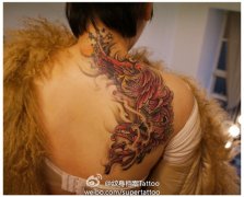 美女背部好看的彩色凤凰纹身图案
