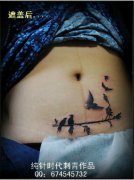 女人腹部疤痕遮盖—小鸟纹身图案