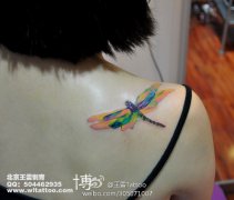 女生肩背漂亮的彩色小蜻蜓纹身图案
