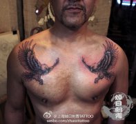 男人前胸超酷的老鹰纹身图案