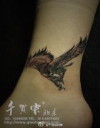 女生脚踝处小巧的老鹰纹身图案