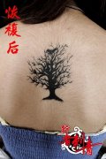女生背部精美的图腾树与小鸟纹身图案