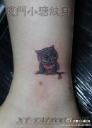 女生腿部一款超萌的猫头鹰纹身图案