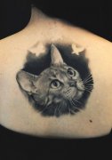 女生背部黑白素描猫咪纹身图案