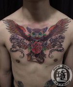 男人前胸超酷的 爱色猫头鹰纹身图案