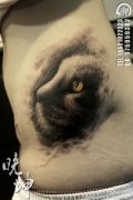 女生腰部唯美时尚的猫咪纹身图案