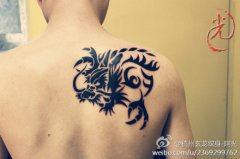 男人肩背经典时尚的图腾龙纹身图案