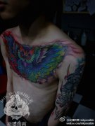 男生前胸超帅的彩色猫头鹰纹身图案