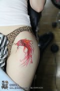 女生腿部漂亮的彩色小鲤鱼纹身图案