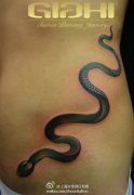 腹部精美小巧的蛇纹身图案