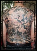 经典另行的男人满背仙鹤白鹤纹身图案