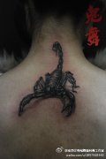 女生颈部时尚超酷的蝎子纹身图案