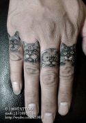 男生手指可爱时尚的猫咪纹身图案