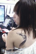 女生肩背时尚流行的羽化燕纹身图案