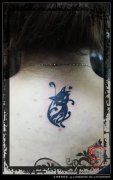 女生背部时尚流行的图腾猫咪纹身图案