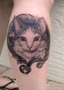 一款腿部呆呆的猫咪纹身图案