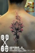 男人背部时尚好看的莲花纹身图案