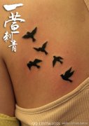 女生背部小巧时尚的图腾小燕子纹身图案