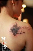 女孩子肩背流行漂亮的蝴蝶纹身图案