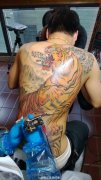 2013年满背彩色上山虎纹身图案制作过程