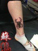 腿部精美时尚的一款彩色蜘蛛纹身图案