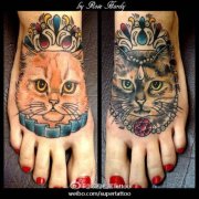 美女脚背时尚流行的猫咪纹身图案