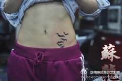 美女腹部时尚小巧的图腾蝙蝠纹身图案
