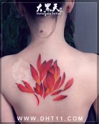 女生背部精美的彩色莲花纹身图案