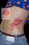 美女腰部时尚唯美的彩色莲花纹身图案