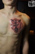 武汉专业纹身店老兵纹身店喻迪制作的胸口狼头纹身作品