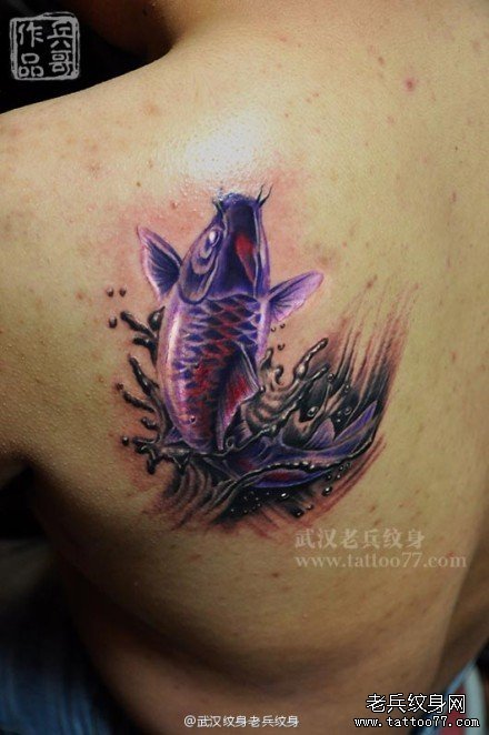 后肩背紫色鲤鱼纹身作品由纹身店兵哥制作