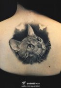 女生后背时尚经典的写实猫咪纹身图案