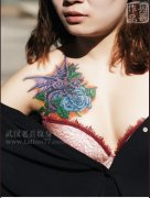 兵哥为河南美女制作的锁骨欧美翼龙玫瑰花纹身遮盖旧纹身写真（一）
