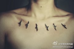 女生前胸时尚流行的小鸟纹身图案